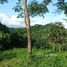  Terrain for sale in Nicoya, Guanacaste, Nicoya