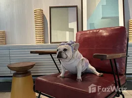 อพาร์ทเม้นท์ 1 ห้องนอน ให้เช่า ในโครงการ ชามา เย็นอากาศ แบงคอก, ช่องนนทรี, ยานนาวา, กรุงเทพมหานคร