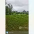  Land for sale in Tak Daet, Chumphon, Tak Daet, Mueang Chumphon