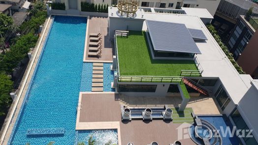 Photos 1 of the Communal Pool at Mayfair Place Sukhumvit 50
