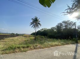  Grundstück zu verkaufen in Phra Phutthabat, Saraburi, Na Yao, Phra Phutthabat, Saraburi, Thailand