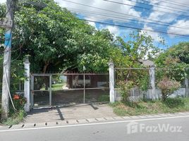 2 Bedroom House for sale in Chiang Mai, San Mahaphon, Mae Taeng, Chiang Mai