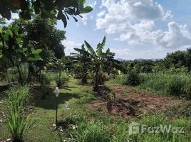  Terrain for sale in Phangnga, Khok Kloi, Takua Thung, Phangnga