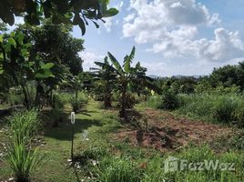  Grundstück zu verkaufen in Takua Thung, Phangnga, Khok Kloi, Takua Thung