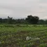  Земельный участок for sale in Wang Sai, Накхон Ратчасима, Wang Sai