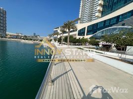 2 Bedroom Apartment for sale at Marina Bay, City Of Lights, Al Reem Island, Abu Dhabi