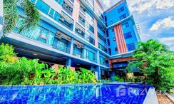 Photos 1 of the Communal Pool at Tree Boutique Resort