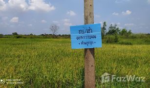N/A Grundstück zu verkaufen in , Phra Nakhon Si Ayutthaya 