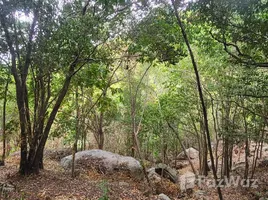 ขายที่ดิน ใน เกาะเต่า, สุราษฎร์ธานี, เกาะเต่า, เกาะพะงัน