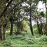  Land for sale in San Isidro, Heredia, San Isidro, Heredia, Costa Rica