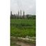  Land for sale at Colina, Colina, Chacabuco