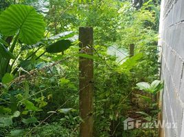 ขายที่ดิน ใน ป่าคลอก, ภูเก็ต, ป่าคลอก, ถลาง