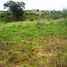 N/A Land for sale in , Greater Accra OYARIFA, Accra, Greater Accra