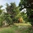  Land for sale in Bueng Kum, Bangkok, Nawamin, Bueng Kum