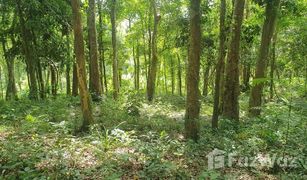 N/A Land for sale in Ko Yao Noi, Phangnga 