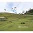  Terrain for sale in Cartago, Turrialba, Cartago