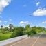  Land for sale in Yasothon, Kut Chiang Mi, Loeng Nok Tha, Yasothon