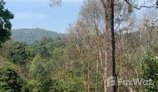 N/A Land for sale in Huai Sai, Chiang Mai 