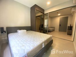 1 спален Кондо в аренду в Quintara Phume Sukhumvit 39, Khlong Tan Nuea, Щаттхана