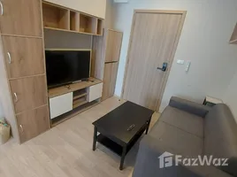 อพาร์ทเม้นท์ 1 ห้องนอน ให้เช่า ในโครงการ พลัม คอนโด สุขุมวิท 97.1, บางจาก, พระโขนง