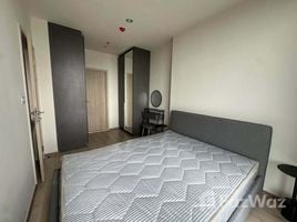1 Bedroom Condo for rent at Nue District R9, Huai Khwang, Huai Khwang, Bangkok, Thailand