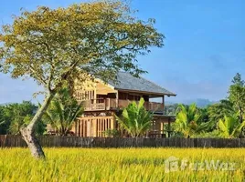 3 Bedroom House for rent in Sop Poeng, Mae Taeng, Sop Poeng