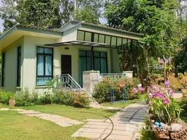 ขายที่ดิน ใน คึกคัก, พังงา, คึกคัก, ตะกั่วป่า, พังงา