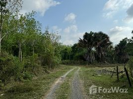  Land for sale in Laguna, Choeng Thale, Choeng Thale