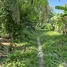 FazWaz.jp で売却中 土地区画, アントン, サムイ島, Surat Thani, タイ