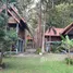 ขายที่ดิน ใน เกาะศรีบอยา, กระบี่, เกาะศรีบอยา, เหนือคลอง