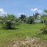  Land for sale in Choeng Thale, Thalang, Choeng Thale