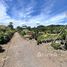  Grundstück zu verkaufen im Condominium For Sale in La Guacima, Alajuela, Alajuela