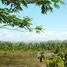 在Tabanan, 里岛出售的 土地, Tabanan, Tabanan
