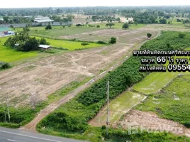  Land for sale in Si Sa Ket, Phon Kha, Mueang Si Sa Ket, Si Sa Ket