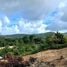  Land for sale in Thalang Phuket, Choeng Thale