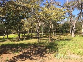 N/A Land for sale in , Guanacaste Portegolpe, Guanacaste, Address available on request