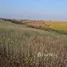  Terreno (Parcela) en venta en Ain El Aoud, Rabat Sale Zemmour Zaer, Ain El Aoud, Skhirate Temara, Rabat Sale Zemmour Zaer, Marruecos