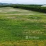  Land for sale in Thang Kwian, Rayong, Thang Kwian, Klaeng