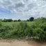  Land for sale in Chiang Yuen, Maha Sarakham, Chiang Yuen, Chiang Yuen