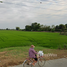  Land for sale in Bang Len Nakhon Pathom, Don Tum, Bang Len