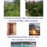 5 Bedroom House for sale in Mueang Pathum Thani Pathum Thani, Bang Phun, Mueang Pathum Thani