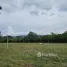  Land for sale in Nakhon Ratchasima, Mu Si, Pak Chong, Nakhon Ratchasima