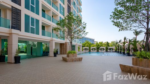 写真 1 of the Communal Pool at City Garden Tower