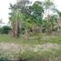 Земельный участок for sale in Перу, Cajaruro, Utcubamba, Amazonas, Перу