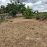  Terrain for sale in Mae Lao, Chiang Rai, Bua Sali, Mae Lao