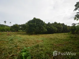  Land for sale in Thailand, Bo Phut, Koh Samui, Surat Thani, Thailand