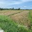  Land for sale in Tabanan, Bali, Kediri, Tabanan