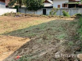  Grundstück zu verkaufen in San Kamphaeng, Chiang Mai, Ton Pao, San Kamphaeng