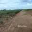  Land for sale in Bo Thong, Lop Buri, Bo Thong, Nong Muang
