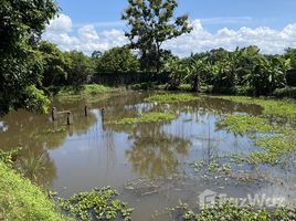  Земельный участок for sale in Huai Sak, Mueang Chiang Rai, Huai Sak